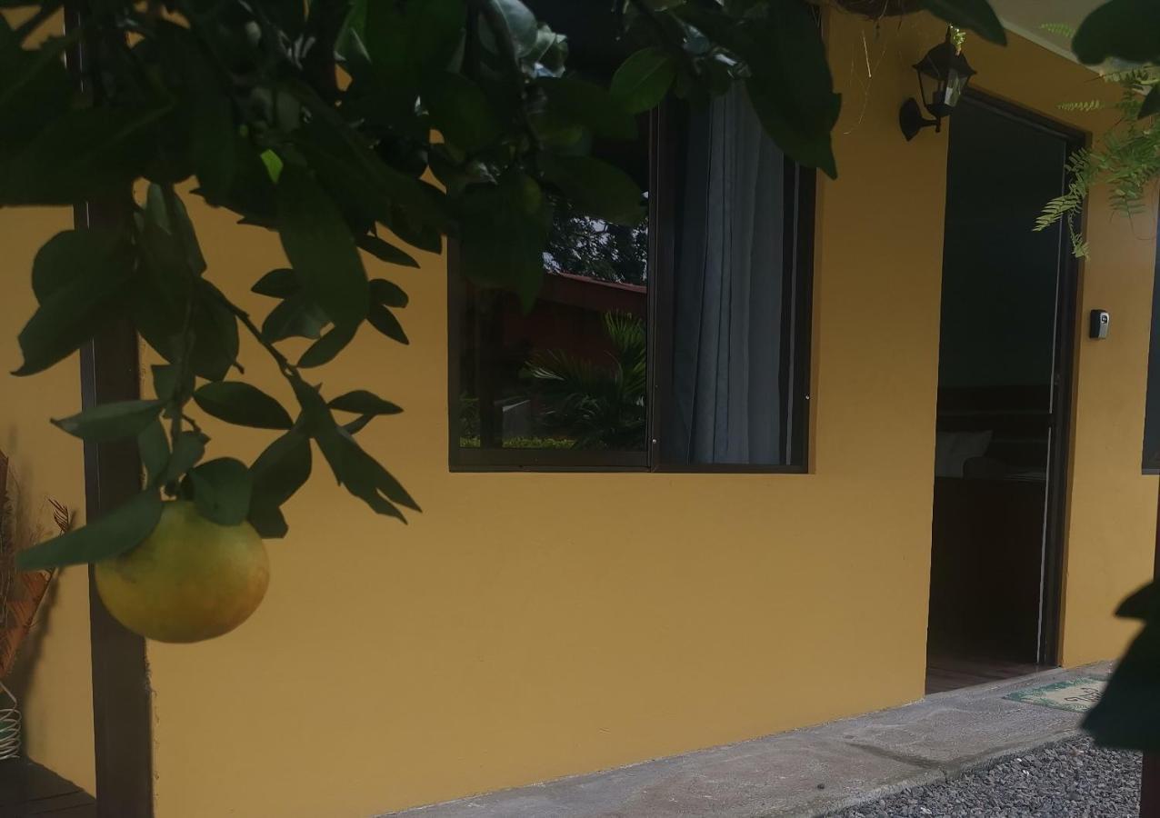 Dreamcatcher House Sarchi Bagian luar foto