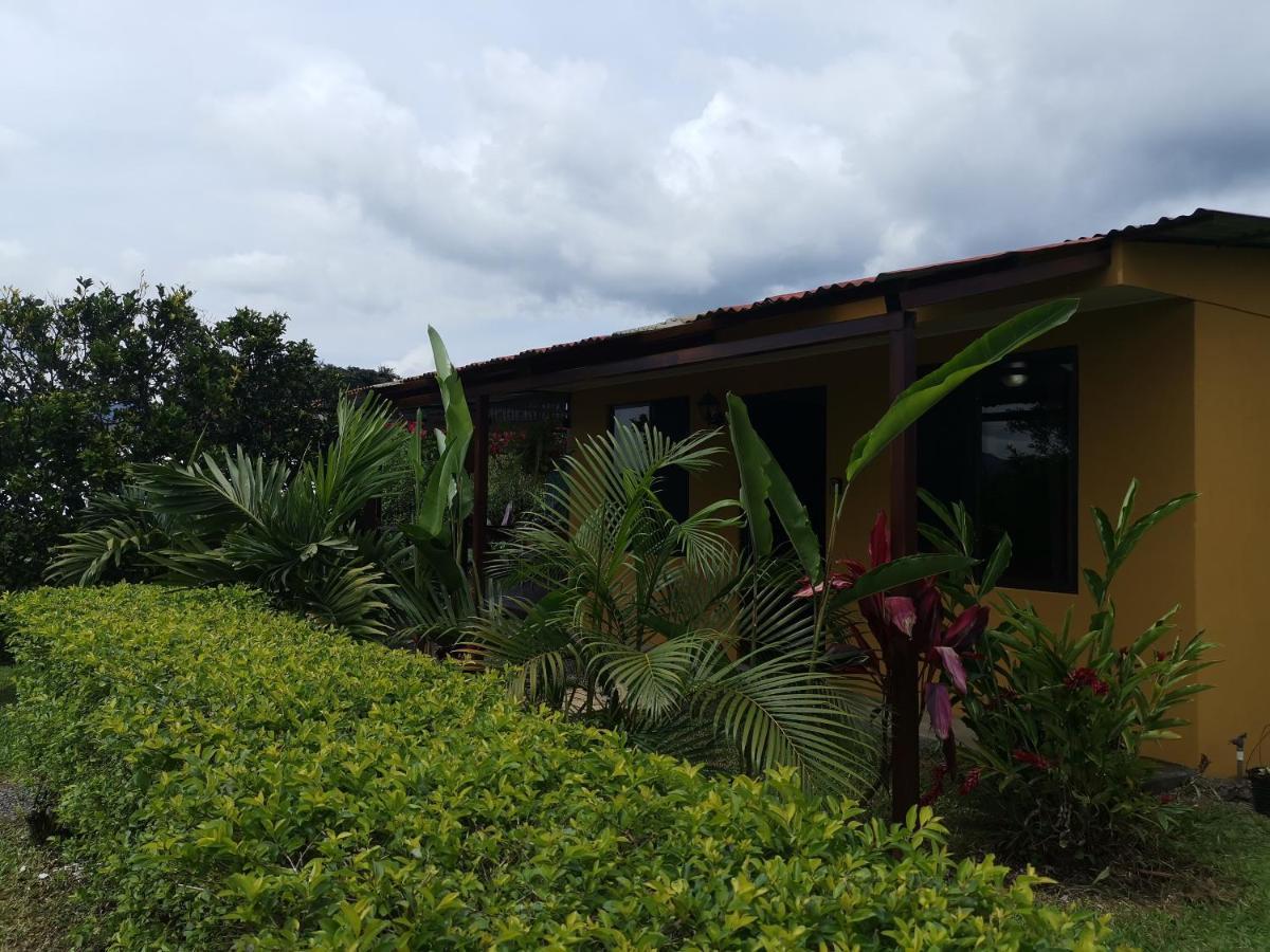 Dreamcatcher House Sarchi Bagian luar foto
